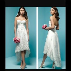 Davids Bridal Galina Collection Dress.